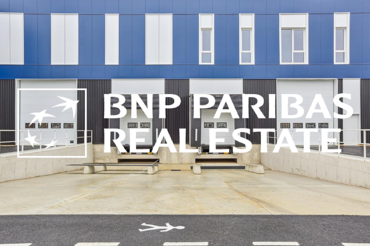 Local d'activité Moissy-Cramayel 2129m² Location local d'activité Moissy-Cramayel Seine-et-Marne OLACT2201095 3